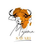 Dein Abenteuer beginnt hier - Majoma Safari - Jagen in Afrika
